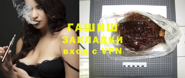 шишки Надым