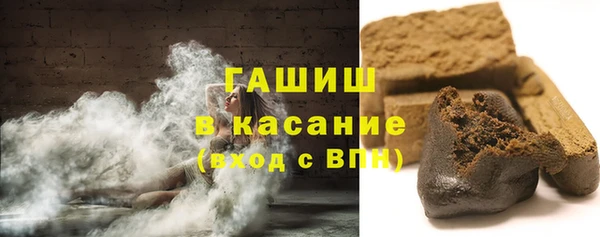шишки Надым