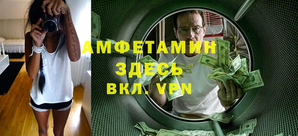 шишки Надым