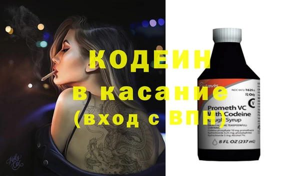 шишки Надым