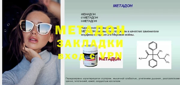 шишки Надым