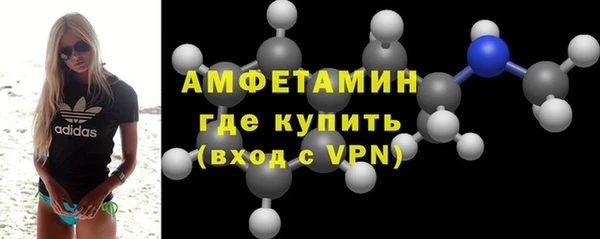 шишки Надым