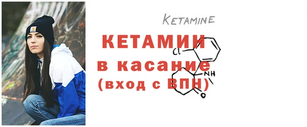 шишки Надым
