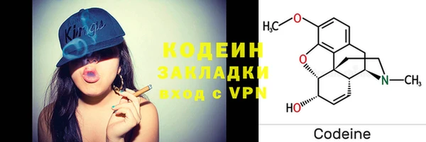 шишки Надым