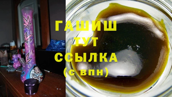 шишки Надым