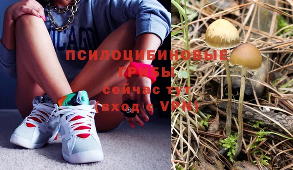 хмурый Наволоки