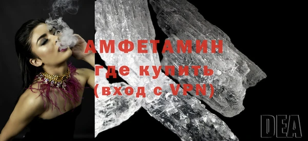шишки Надым