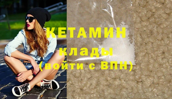 шишки Надым