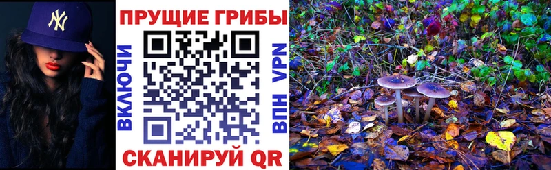 маркетплейс какой сайт  Спас-Клепики  Галлюциногенные грибы прущие грибы  как найти закладки 